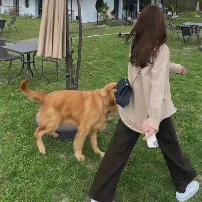 巴黎圣罗兰